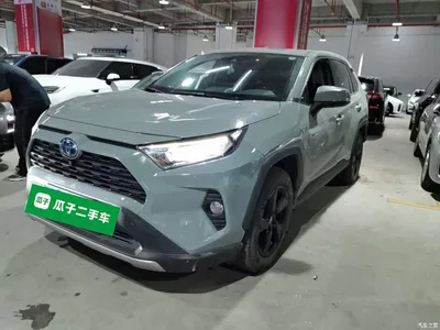 2020 Toyota RAV4 Rongfang Hybrid 2.5L E-CVT 4WD Elite PLUS, фото 1, лот 10383152