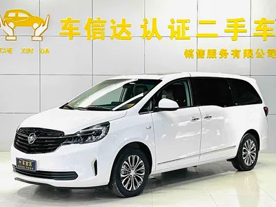 2022 Buick GL8 Land Business Class 652T Luxury, фото 2, лот 10818875