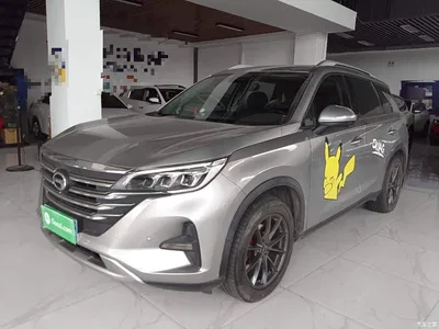 2019 GAC Trumpchi Trumpchi GS5 270T Automatic Luxury, фото 2, лот 10334934