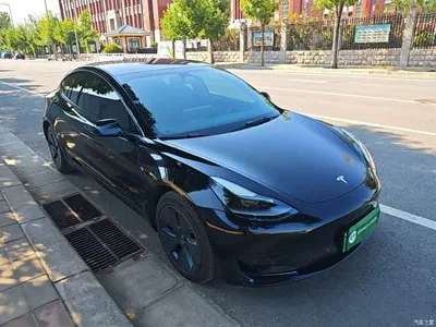 2022 Tesla Model 3 Model Rear-Wheel Drive Version, фото 4, лот 10369611