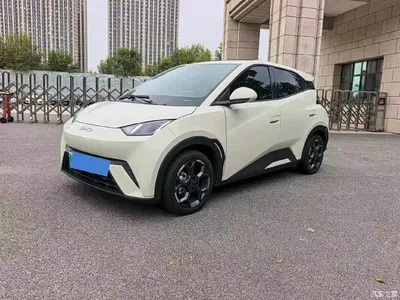 2024 BYD Seagull Glory Edition 405km Soaring Edition, фото 1, лот 11132171