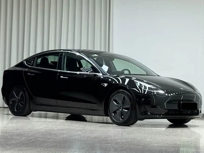 2021 Tesla Model 3 Standard Range Rear-Wheel Drive Upgrade, фото 3, лот 10351905