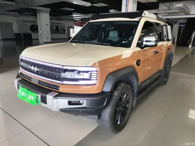 2023 Byd Leopard 5 Explorer Edition, фото 1, лот 10827855