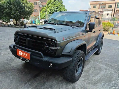 2024 Tank 300 Model 330 3.0T V6, фото 1, лот 10902268