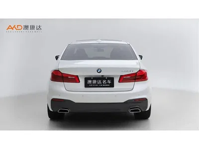 2019 BMW 5 Series 530Li Leading M Sport Package, фото 4, лот 11565446
