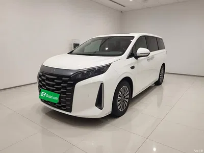 2025 BYD Xia DM-i 1.5T 180km Surpass Edition, фото 1, лот 10900058