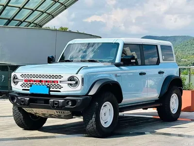 2025 Ford Bronco Model 2.3T 1966 Big Foot Edition, фото 1, лот 10278763