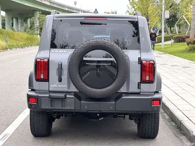 2021 Tank 300 Off-road Version 2.0T Conqueror, фото 4, лот 10765579