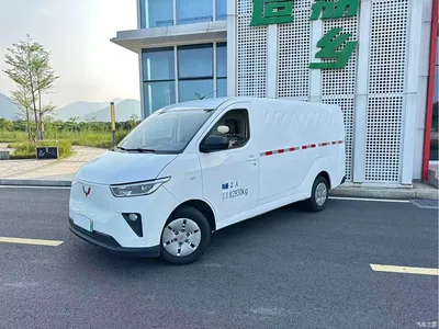 2024 Wuling Motors Wuling Yangguang 300km Comfort Enclosed Van 60kW, фото 1, лот 11146280