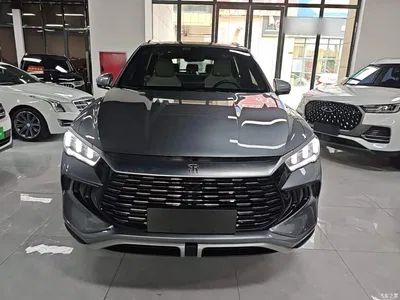2024 BYD Song Pro New Energy Glory Edition DM-i 71KM Pilot, фото 3, лот 10276795