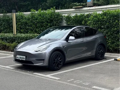 2024 Tesla Model Y Rear-Wheel Drive Version, фото 1, лот 10894028
