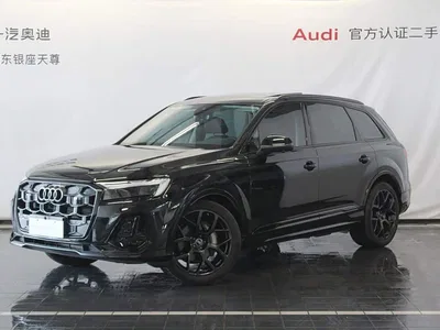 2024 Audi Q7 45 TFSI quattro S line Black Warrior, фото 1, лот 10233327