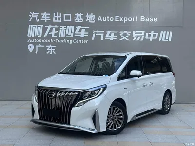 2023 GAC Trumpchi Trumpchi M8 Master Series 390T Ultimate Edition, фото 1, лот 10401523