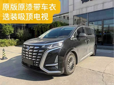 2024 Denza D9 DM-i 980 AWD Flagship, фото 1, лот 10396621