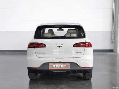 2024 Wuling Motors Wuling Binguo PLUS 510km Range 5-seater, фото 4, лот 10836547