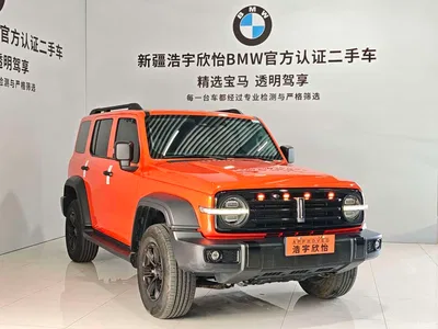 2021 Tank 300 Off-road Version 2.0T Conqueror, фото 3, лот 10344167