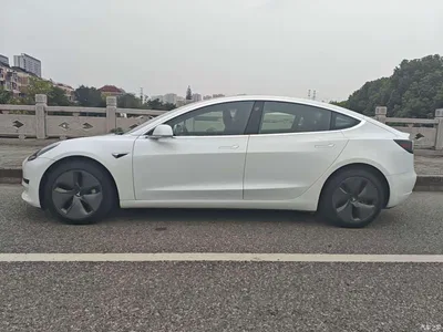2019 Tesla Model 3 (Import) Standard Range RWD Upgraded Edition, фото 3, лот 11098544