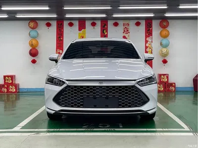 2024 BYD Qin PLUS Glory Edition DM-i 55KM Leading, фото 2, лот 10364047