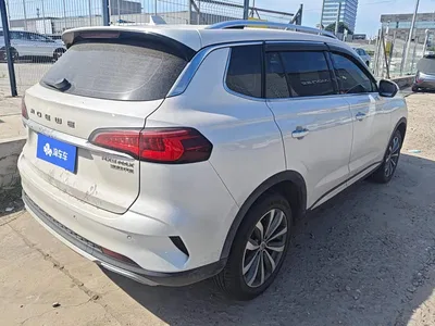 2019 Roewe RX5 MAX 300TGI Automatic 4G Connected Luxury Edition, фото 3, лот 10511181