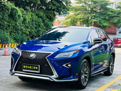 2016 Lexus RX 300 AWD F SPORT Edition China V, фото 1, лот 10313103