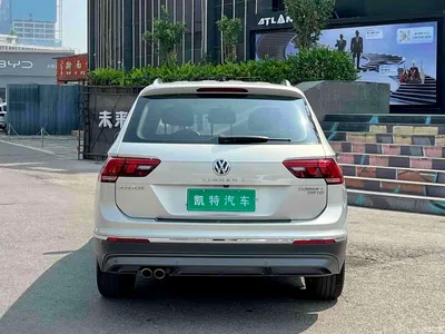 2019 Volkswagen Tiguan L 330TSI Automatic 2WD Smart Luxury Edition China VI, фото 4, лот 10461599
