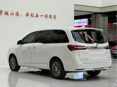 2022 Buick GL8 Land Business Class 652T Prestige, фото 4, лот 10250916