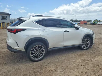 2022 LEXUS NX 350H, фото 3, лот 10850130