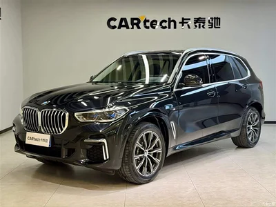 2022 BMW X5 xDrive 30Li Premium M Sport Package, фото 1, лот 10463243