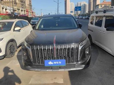 2024 Hongqi HS7 PHEV 2.0T PHEV 2WD Flagship 7-seater, фото 2, лот 10361075