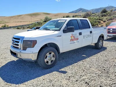 2010 FORD F150 SUPERCREW, фото 1, лот 10554399