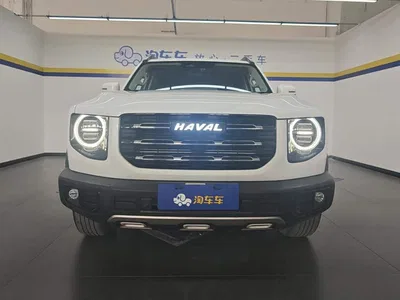 2021 Haval Big Dog 1.5T DCT 2WD Border Collie Edition, фото 2, лот 10478942