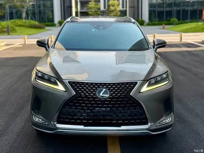 2020 Lexus RX Facelift 300 AWD Elegance Edition, фото 2, лот 10284831
