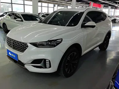2020 WEY VV6 2.0T 2WD Smart Enjoy+, фото 1, лот 10451983
