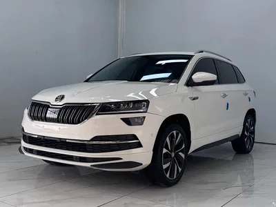 2022 Škoda Karoq TSI280 Luxury Edition, фото 1, лот 10611168