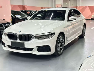 2020 BMW 5 Series 530Li Leading M Sport Package, фото 1, лот 11219154