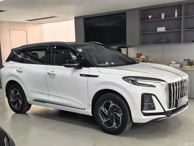 2024 Hongqi HS3 1.5T Virtue Edition, фото 4, лот 10287317