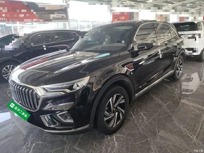 2022 Hongqi HS5 2.0T Smart Connect Premium Edition, фото 2, лот 11006931