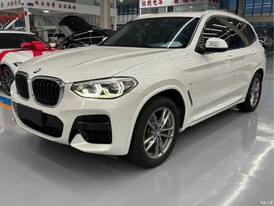 2020 BMW X3 xDrive28i M Sport Package, фото 1, лот 11242781