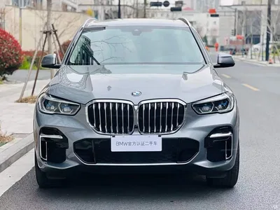 2022 BMW X5 xDrive 30Li Premium M Sport Package, фото 4, лот 10237902