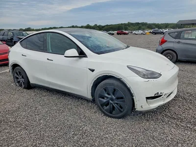 2024 TESLA MDL Y, фото 4, лот 11157589