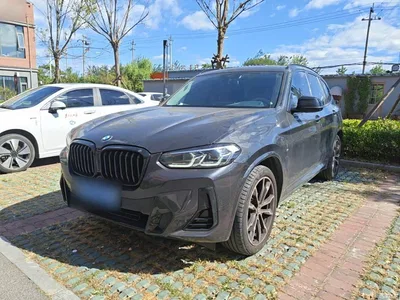 2022 BMW X3 xDrive30i Premium M Night Package, фото 1, лот 11518344