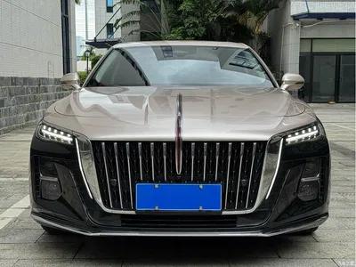 2023 Hongqi H5 2.0T Auto Smart Connect Flag Comfort, фото 2, лот 10304188