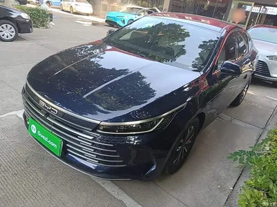 2024 BYD Destroyer 05 Glory Edition DM-i 55KM Luxury, фото 2, лот 10259009