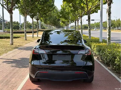 2023 Tesla Model Y Long Range All-Wheel Drive Edition, фото 4, лот 11073482