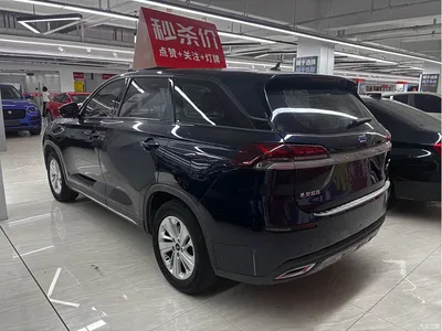 2020 Oshan X7 1.5T Auto Elite Model, фото 4, лот 10407011