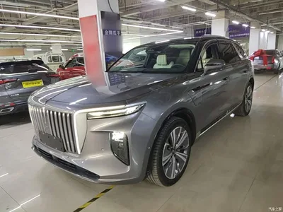 2021 Hongqi E-HS9 510km Flagship Comfort 6-seater, фото 1, лот 11221016
