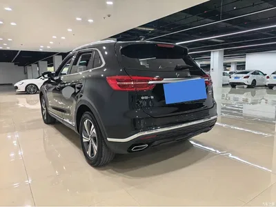 2019 Hongqi HS5 2.0T Smart Connect Joy Edition, фото 4, лот 10361105