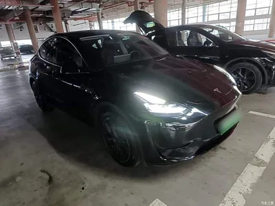2024 Tesla Model Y Rear-Wheel Drive Version, фото 4, лот 10829294