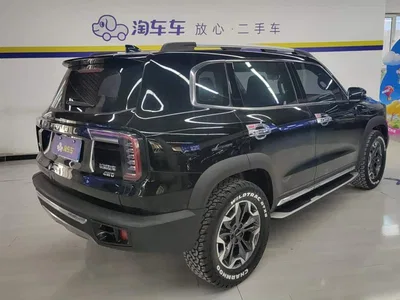 2022 Haval Big Dog 2.0T DCT AWD Chinese Pastoral Dog Edition, фото 3, лот 10361934