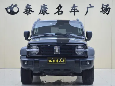 2021 Tank 300 Off-road Version 2.0T Conqueror, фото 2, лот 10344751